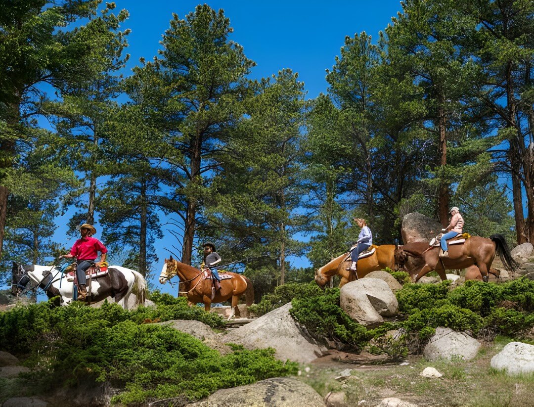 work-and-travel-cashier-rocky mountain-gateaway