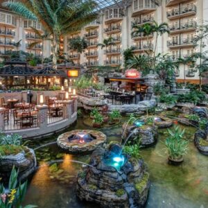 Food and Beverages Star