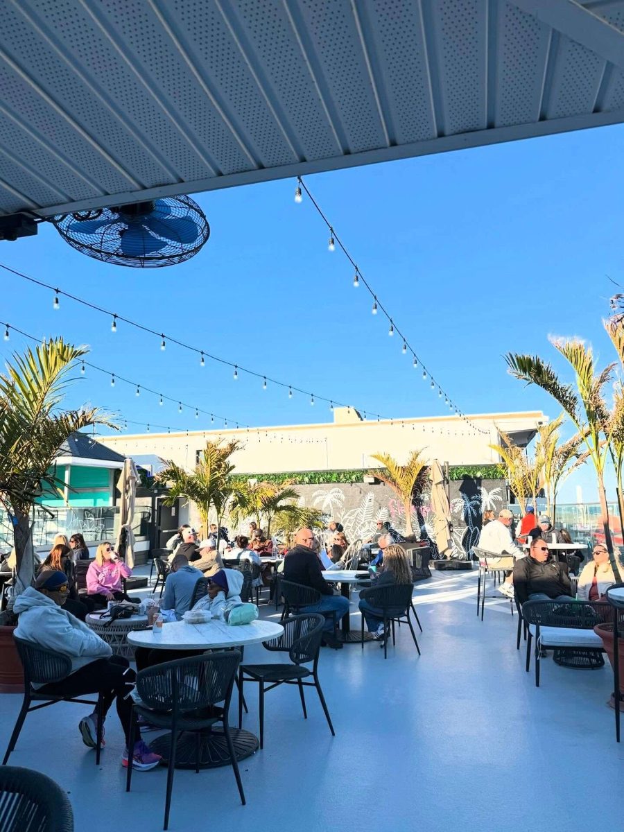 flamingo-coast-terasa